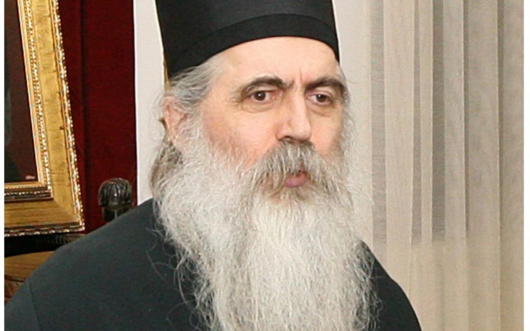 Епископ новосадски и бачки др Иринеј: О савесним пастирима и неодговорним портпаролима
