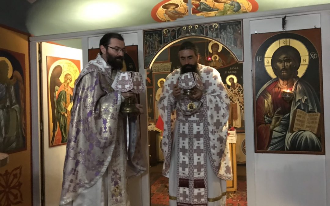 Епископ диоклијски Методије у Епархији западноевропској