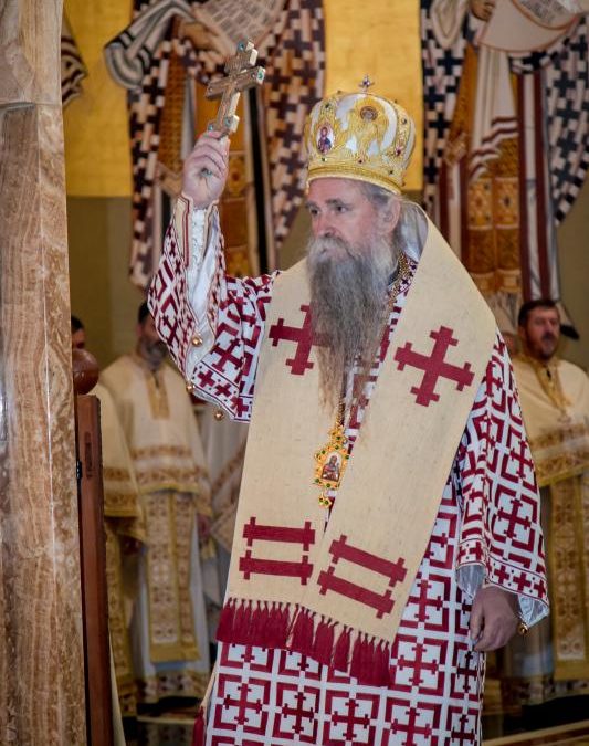 Владика Јоаникије у „Интернет литији“: Самоизолација је прилика да пронађемо себе и повежемо се са ближњима (видео)