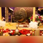 quicksquarenew_202242310334230