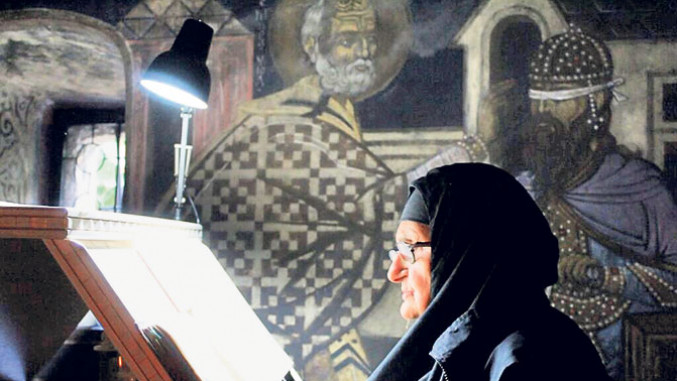 Чуварка топлине дома у бодљикавој жици