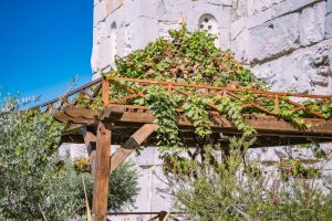 Фото: Борис Мусић