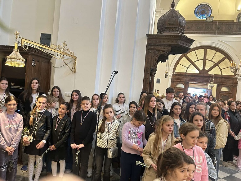 Врбица, празник д‌јеце, литургијски прослављена у Котору