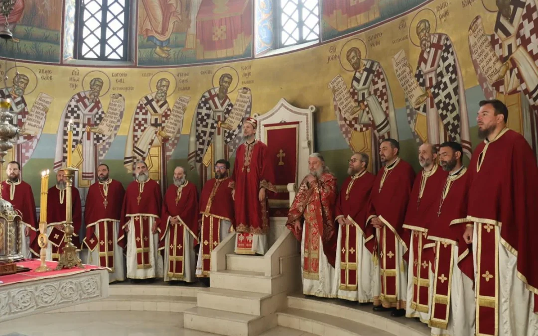 Митрополит Димитрије: То ће бити Суд – ако не препознамо нашега Спаситеља