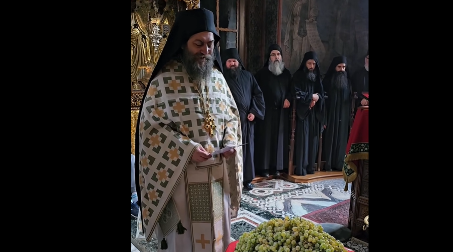 Благосиљани плодови чудотворне лозе Преподобног Симеона Мироточивог у Хиландару