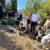 Дјеца Мостара саде за будућност: Изнад Старе цркве ниче нова шума